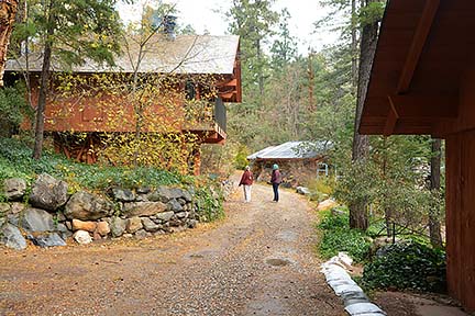 Forest Houses, November 2015